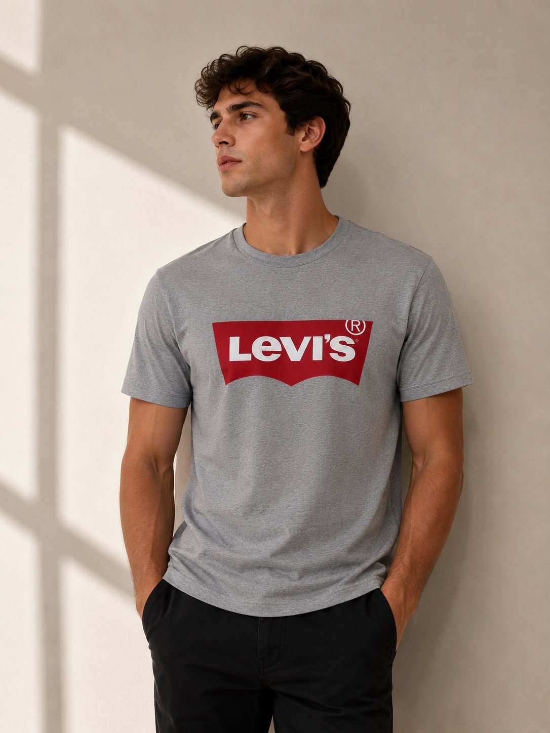 Camisetas Levi's Logo - Cinza