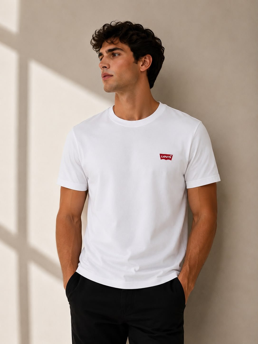 Camiseta Levi's Básicas